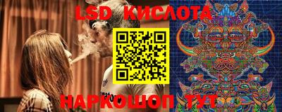 гашик Новодвинск