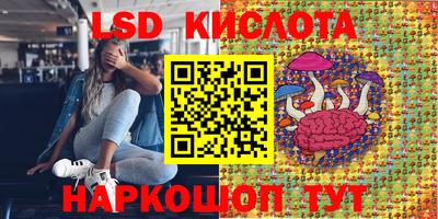 гашик Новодвинск