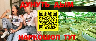 гашик Новодвинск