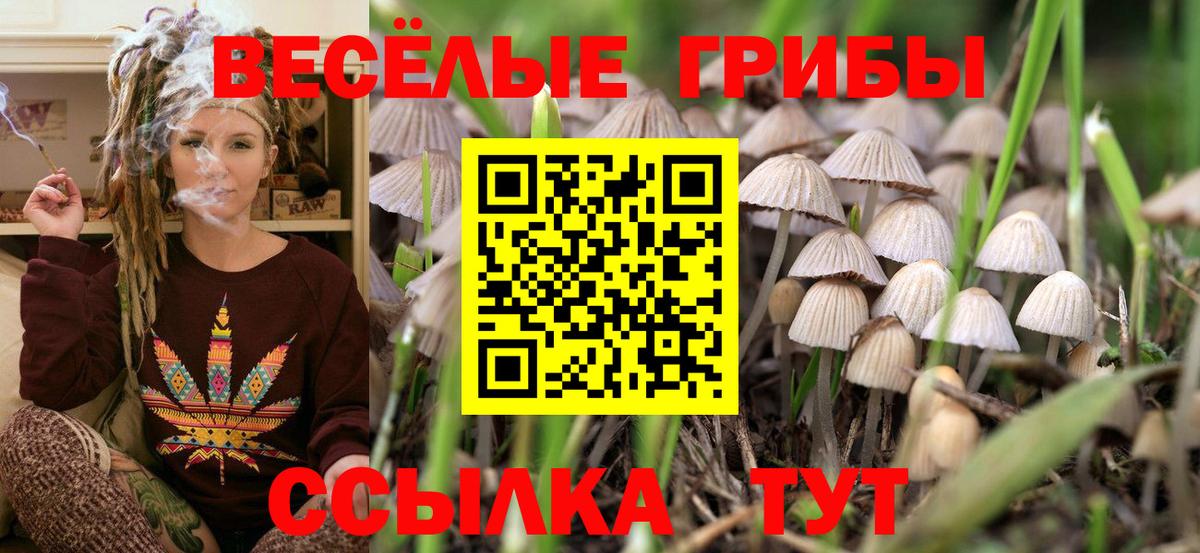 Псилоцибиновые грибы прущие грибы Троицк