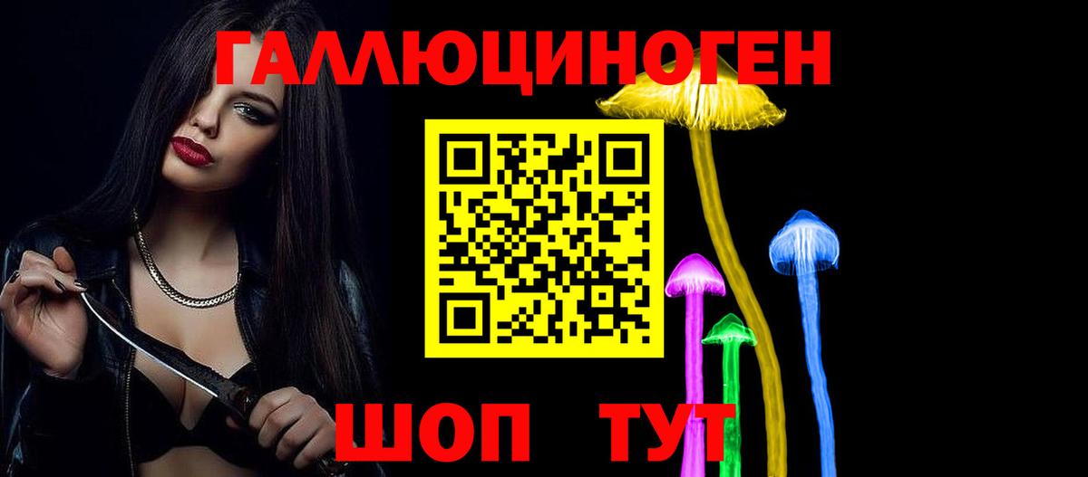 Троицк  Псилоцибиновые грибы Cubensis  Вход с VPN 
